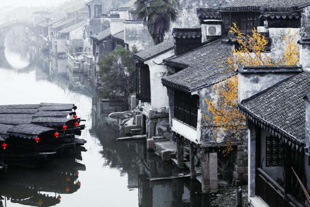 动物拼一拼
